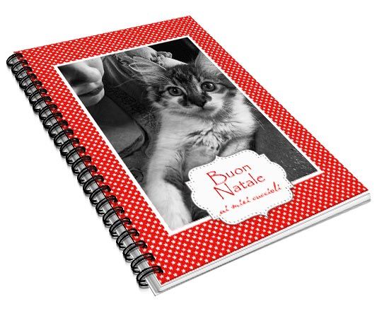 Agenda 14x21 Stars
