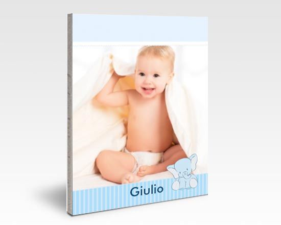 Grafica con elefantino su pannello kapafix