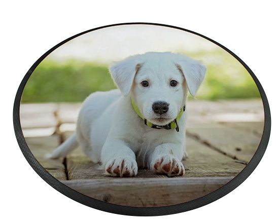 stampa zerbino rotondo