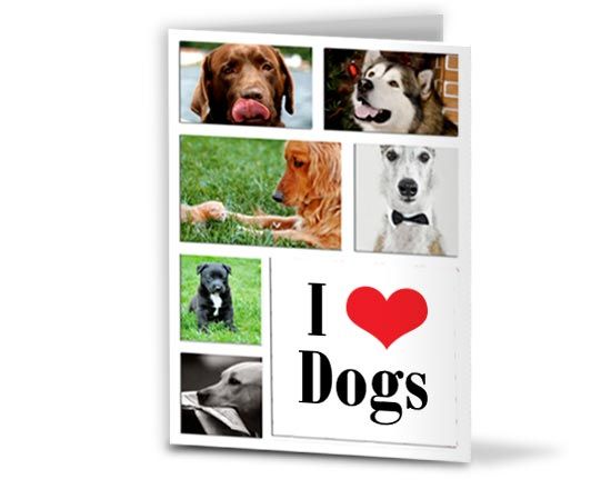 Card personalizzata con foto di cani