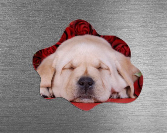 calamita nuvola stampata