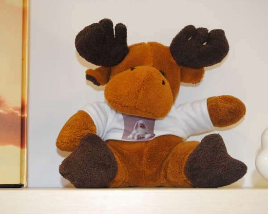 Peluche personalizzabile con stampa