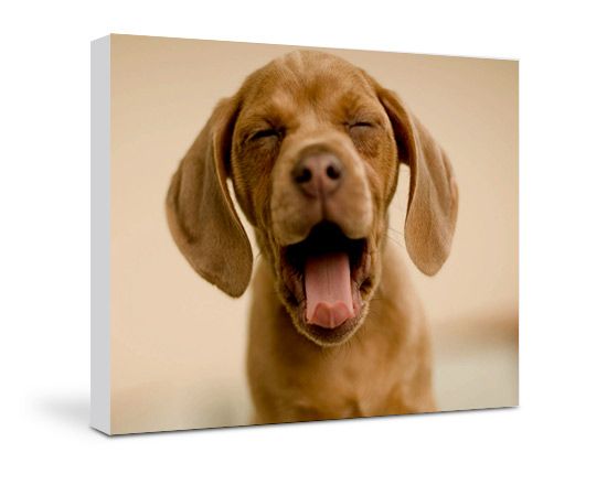 tela 80x60 personalizzata con foto