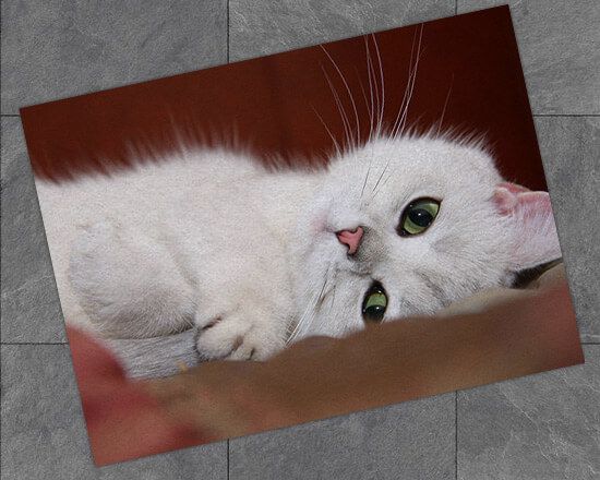 zerbino personalizzato con stampa di foto in alta definizione