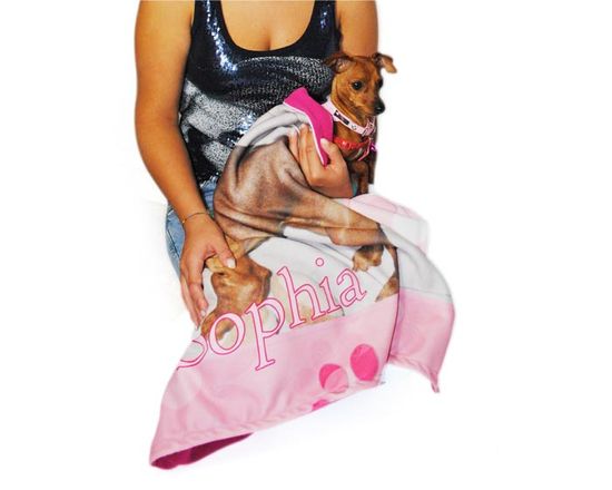 Accessorio per Animali Copertina