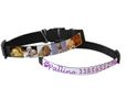 Collari Personalizzati