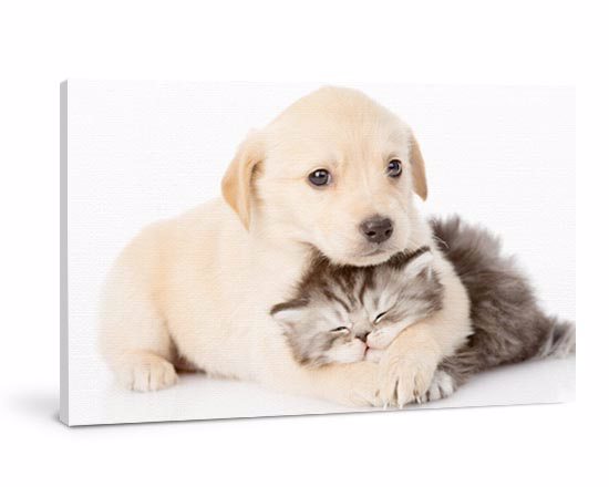 Stampa su tela 90 x 60 cm