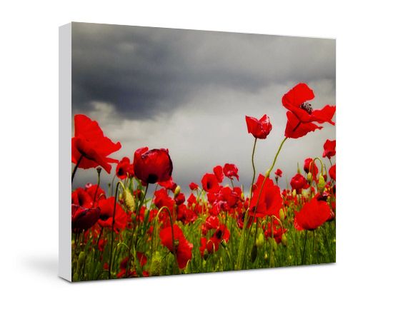 tela 80x60 con foto personalizzata