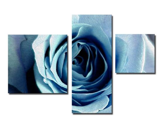 immagine di una rara rosa azzurra suddivisa in 3 pannelli asimmetrici