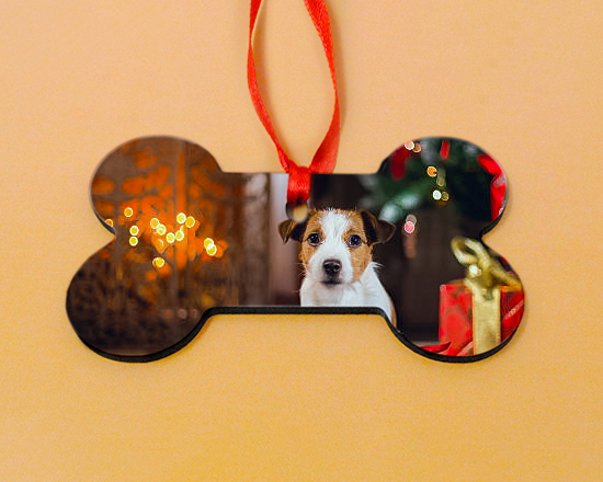 decorazione in masonite a forma di osso con foto di un cane e testo