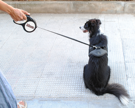 Guinzaglio personalizzato con testo