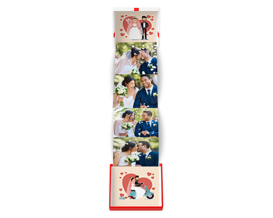 Grafica 6
