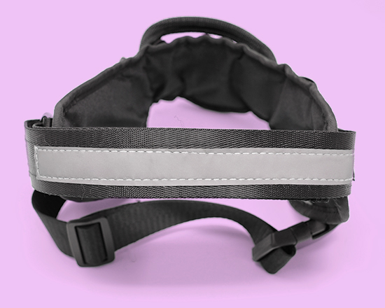 pettorina cane taglia M con striscia catarinfrangente