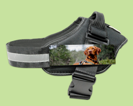 Pettorina cane taglia L