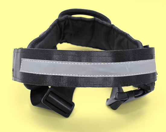 pettorina taglia XL con fascia catarinfrangente