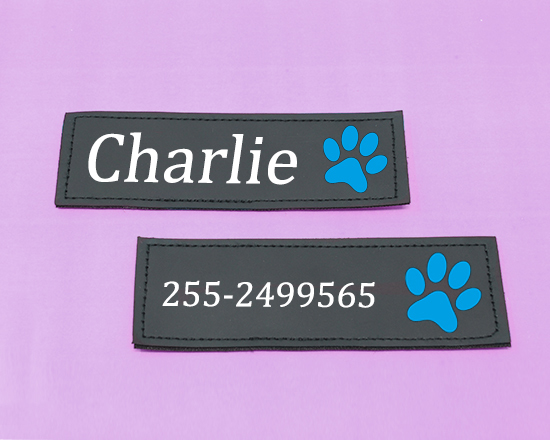 pettorina cane taglia XL con fascia in velcro