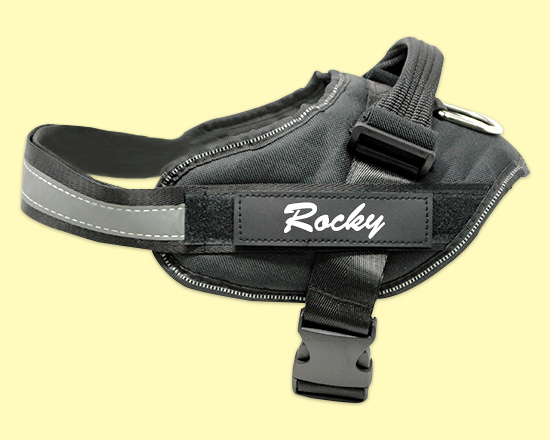 Pettorina cane taglia M con targhetta personalizzata