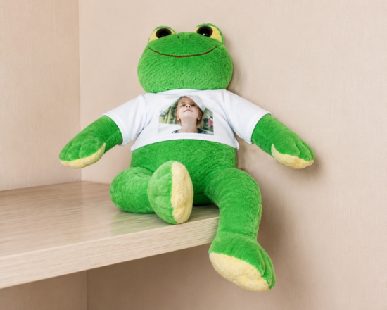 Stampa su Ranocchio di peluche