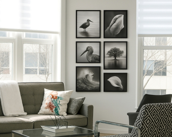 composizione di tele americane