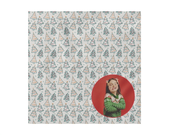 Grafica 5