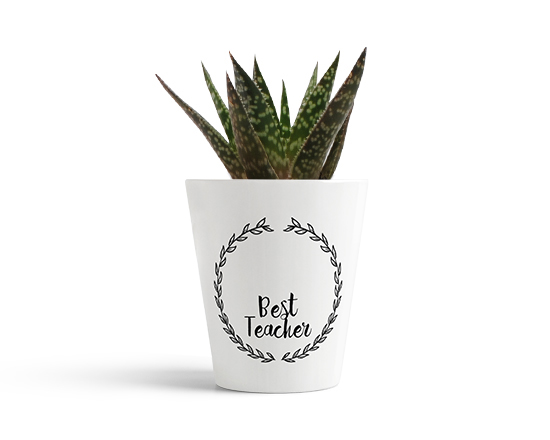 vaso in ceramica per maestre grafica best teacher