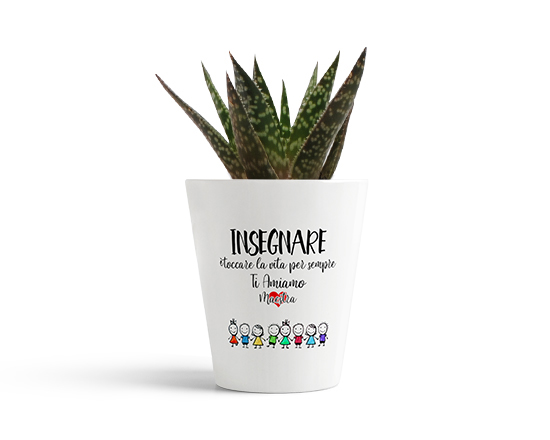 Vaso per maestra insegnare