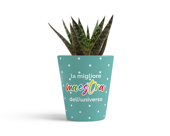 vaso in ceramica migliore maestra