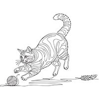 Line art