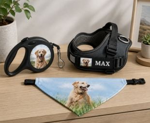 Accessori animali personalizzati