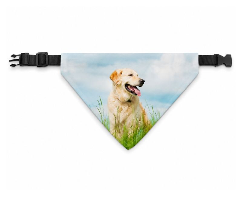 Bandana personalizzata per cane