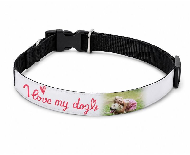 Collare personalizzato per cane