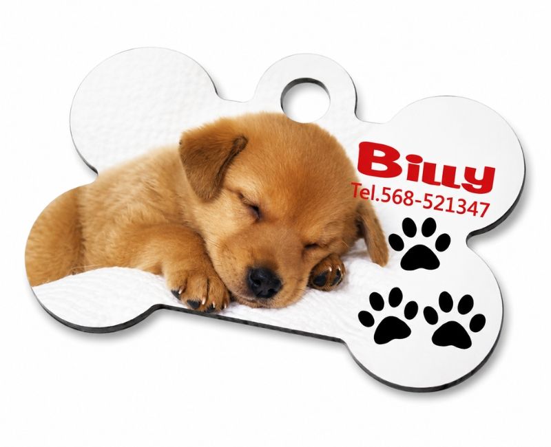 Medaglietta personalizzata per cane