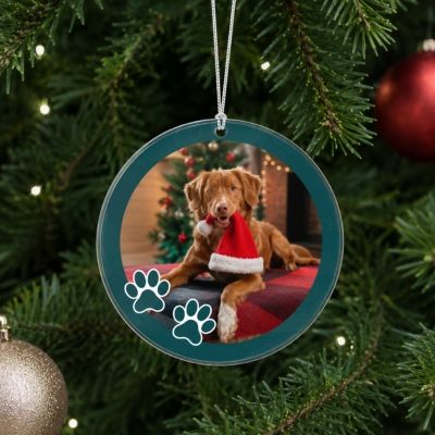 Palline di Natale per animali
