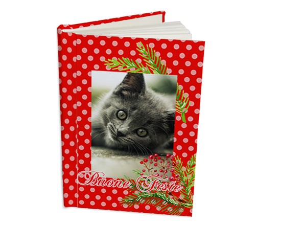 Agenda 15x20 Bacche natalizie