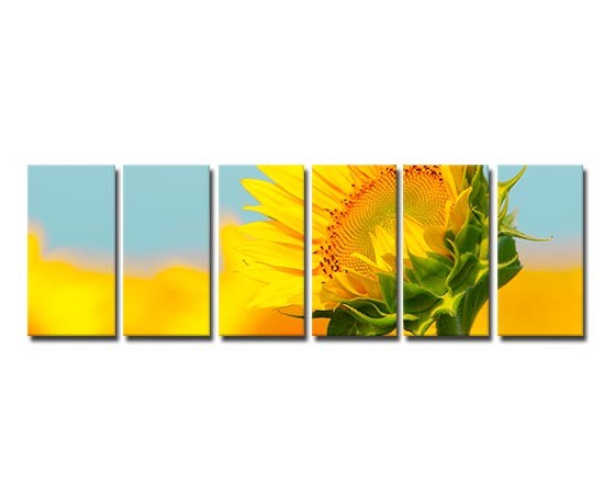 Tela suddivisa in 6 pannelli con stampa di girasoli