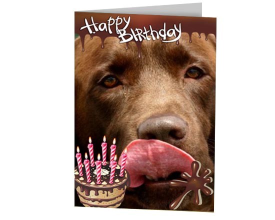 Card personalizzata con foto del tuo amico fido