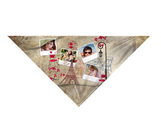La grafica parigina per un foulard unico