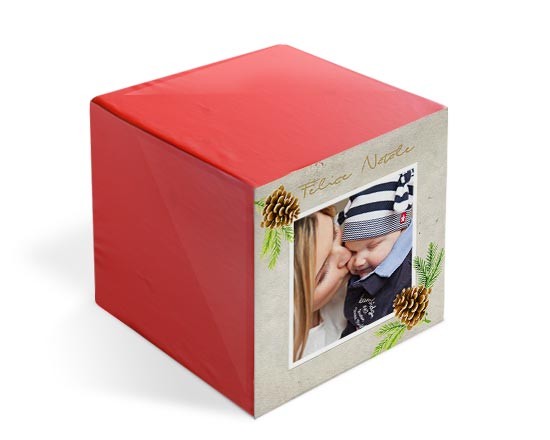 Foto Cubo Elite Pine cone
