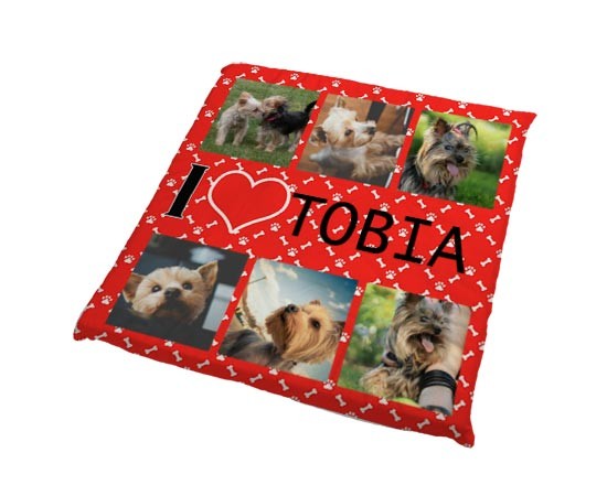 Cuscino per animali I love collage