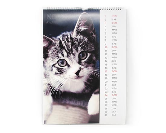 Calendari multipagina formato A3 con stampa foto