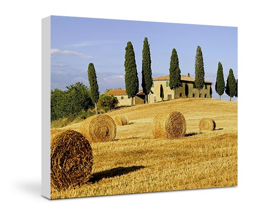 La dimensione 60x50 cm per la tua tela
