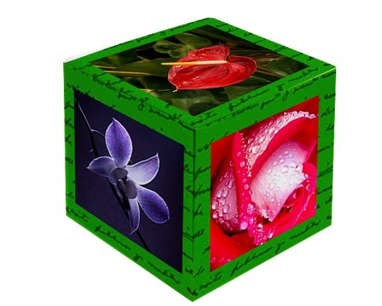 Fotocubo personalizzato con grafica e foto