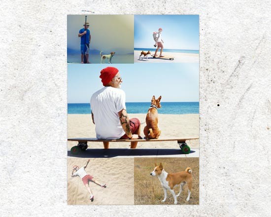 Poster collage 5 riquadri