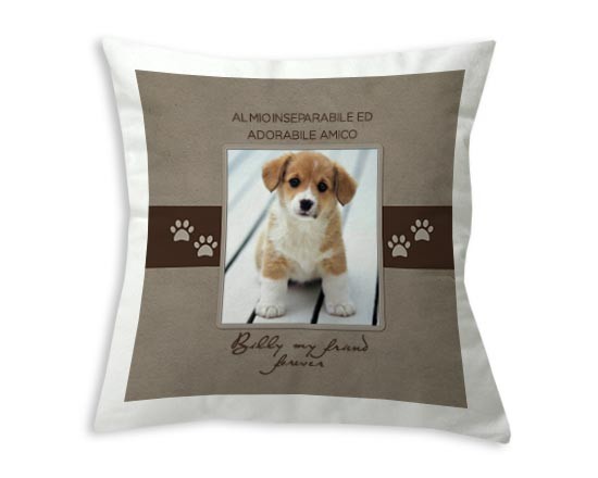 Una dolce grafica dedicata ai teneri animali