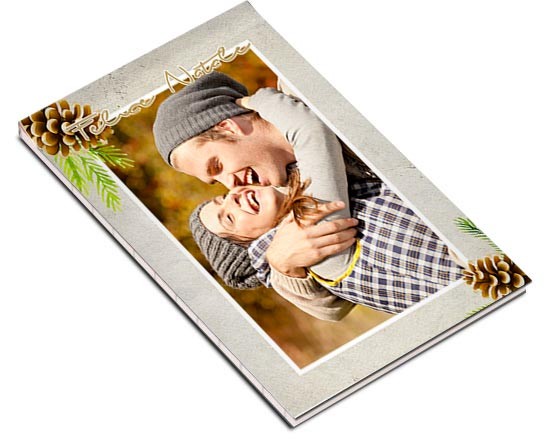 Pigne e ramoscelli per la copertina del block notes