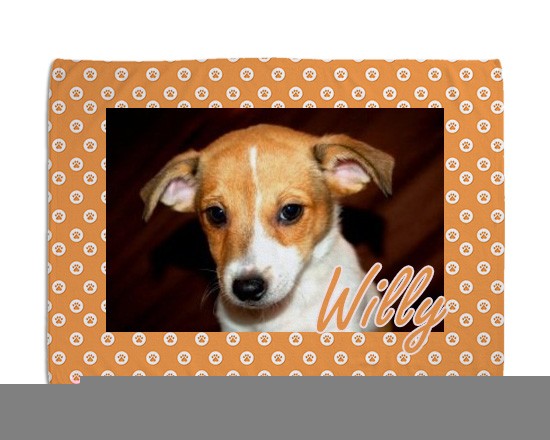 Coperta per cani Texture zampette