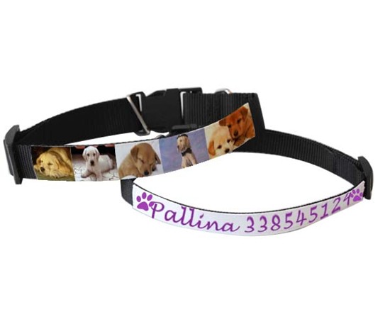 Collari Personalizzati